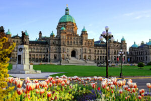 British Columbia provincial parliament building with spring tulips